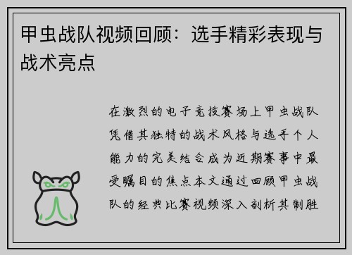 甲虫战队视频回顾：选手精彩表现与战术亮点